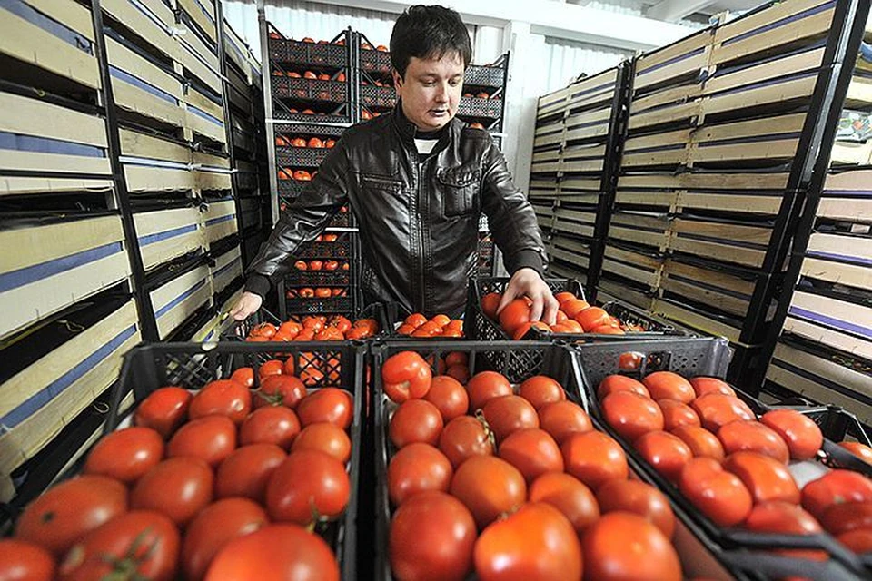 Устав ждать, пока их помидоры попадут на российский рынок, Турция взвинтила пошлины на российскую пшеницу.
