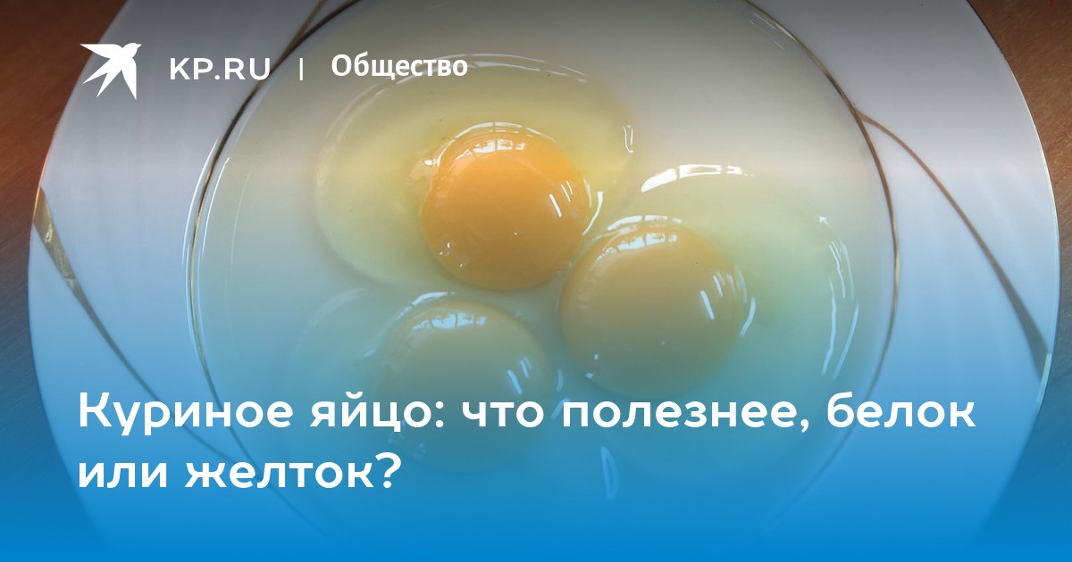 Куриное яйцо: что полезнее, белок или желток? - KP.RU