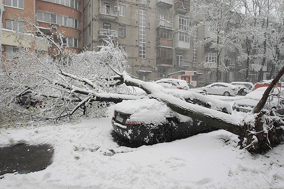 Тем временем восток Украины завалило снегом