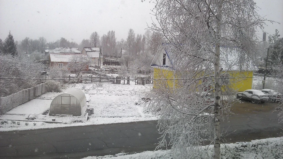 Снег в Некоузском районе. Фото: О.Баскакова