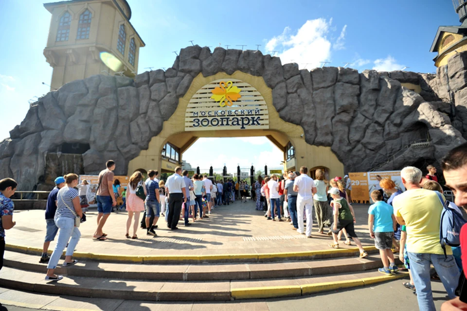 Какие сюрпризы и новинки Московский зоопарк готовит к новому летнему сезону
