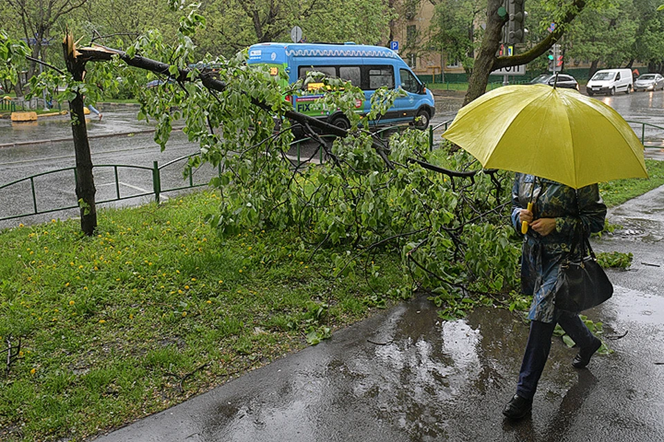 Всего жертвами стихии стали 16 человек (11 погибли в Москве, 5 в Подмосковье).