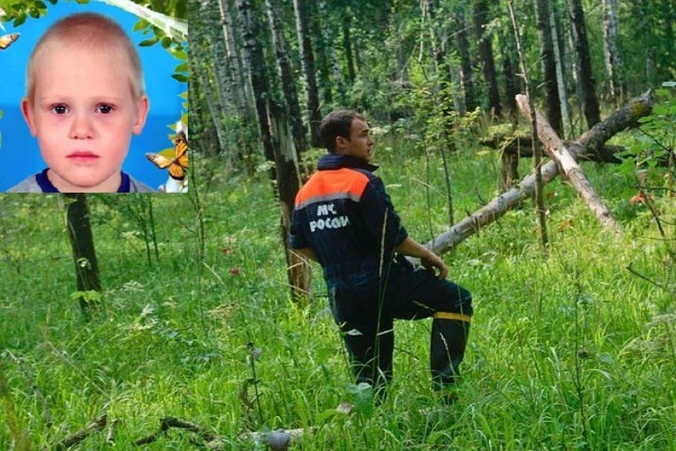 Мальчик, по одной из версий, заблудился в лесу фото: ГУ МЧС по Свердловской области/ГУ МВД по Свердловской области