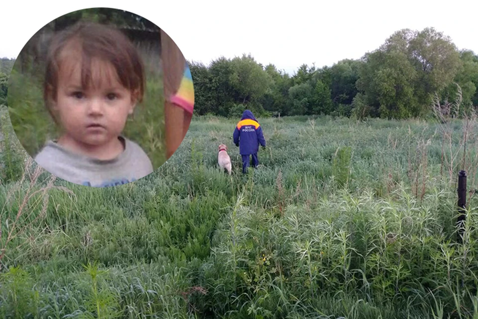 Пропавшую трехлетнюю девочку из ЕАО начали искать в других регионах России