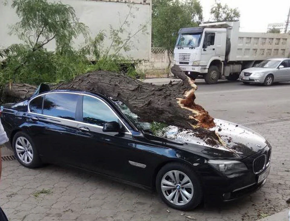 Дерево рухнуло на «БМВ», который был припаркован возле гипермаркета «Фрунзе».