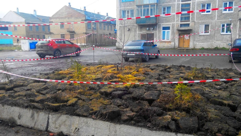 Типичная воркутинская клумба в одном из дворов. Фото:vk.com