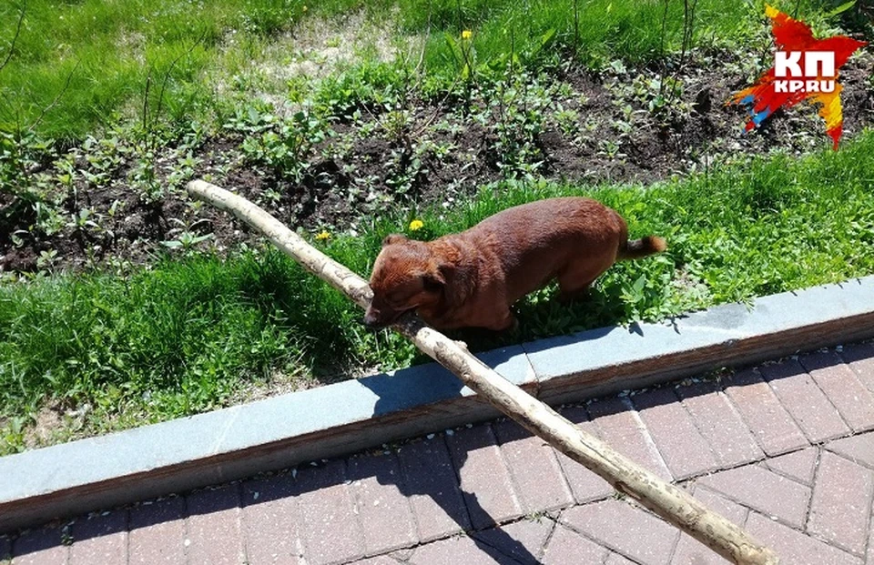 Фото: Пунгина Татьяна