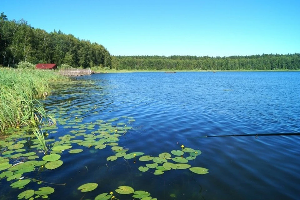 Вот то самое Сладкое... Обычное такое озеро... Фото: gorsite.ru