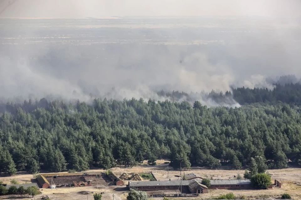 В Ростовской области горит лес.