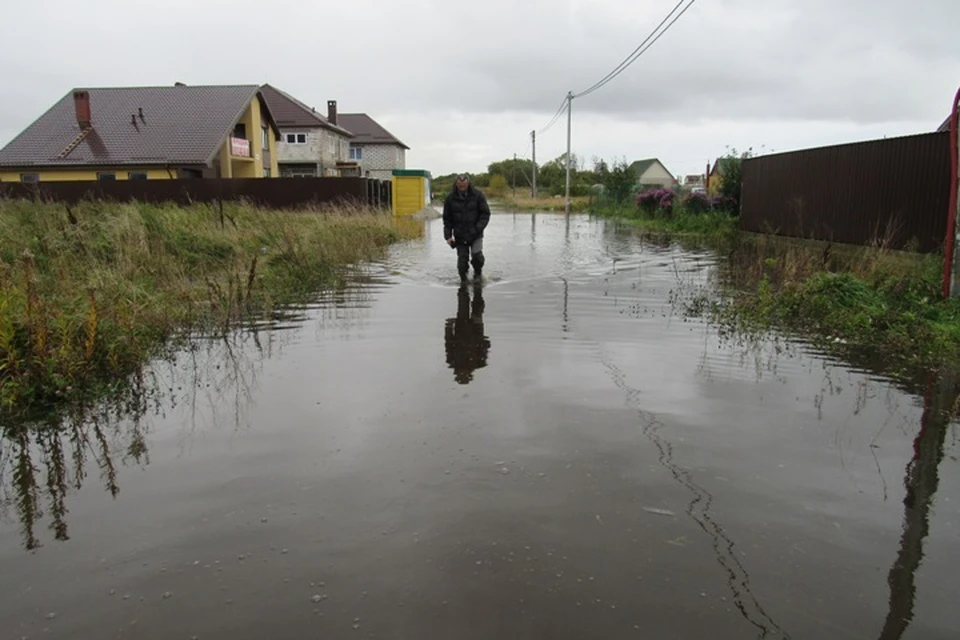 В поселке Сосновка Зеленоградского района под водой скрылась целая улица.