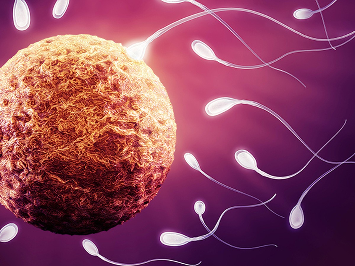 ᐉ Влияние спермы на женское здоровье