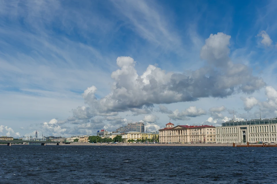 Города на Неве уступил Москве в экологическом рейтинге