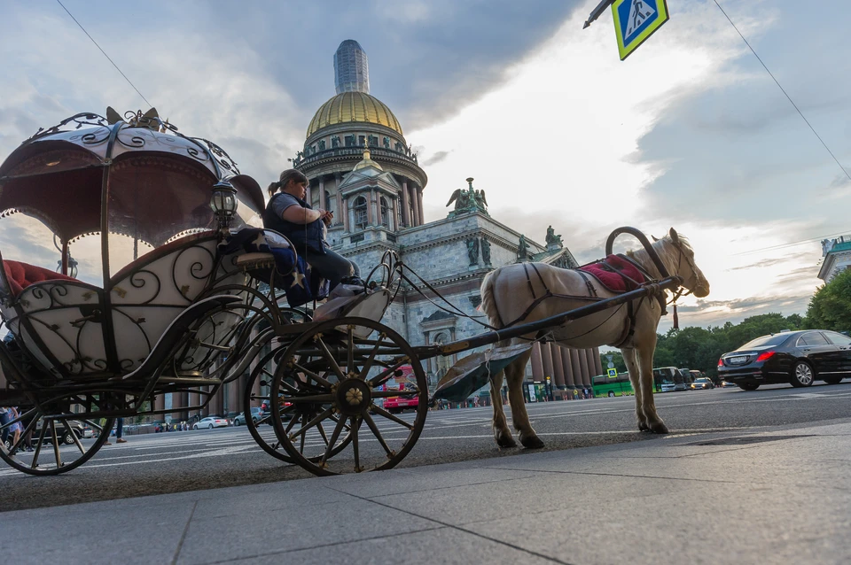 Петербург все еще культурная столица Родины