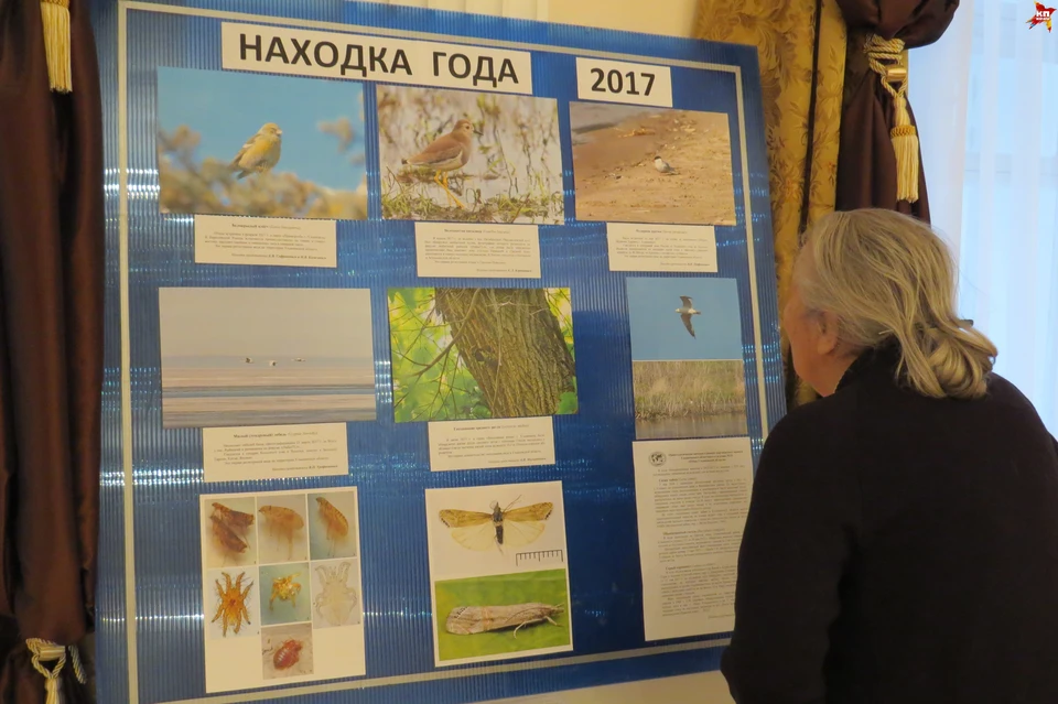 Все находки - на одном стенде.