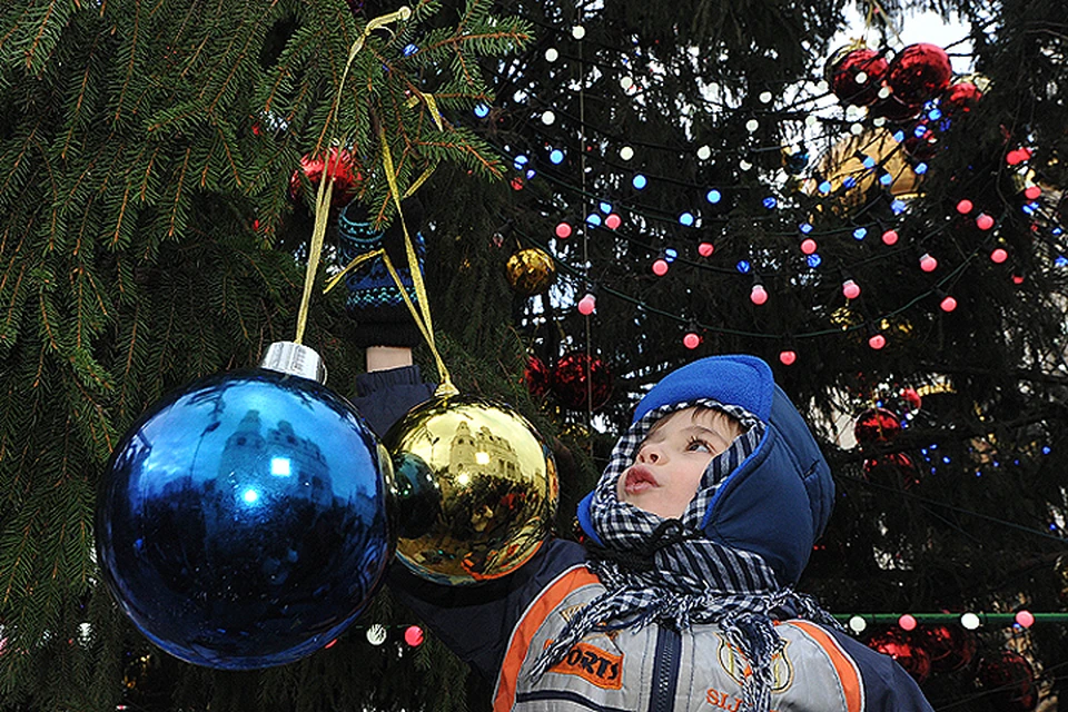 Фото: Анатолий Жданов. Ах, это чудо - новогодняя ель