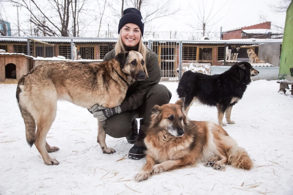 Челина Андерсен из Дании помогает собакам в самарском приюте