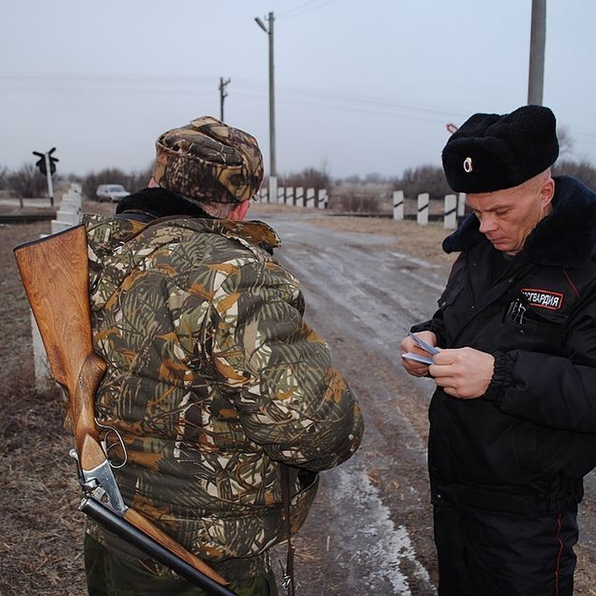 Егерь поймал гаишников, а они его арестовали - KP.RU