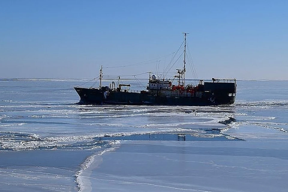 На третий день поисков судна "Восток" спасатели обнаружили предмет, похожий на плот. Фото: dvesoroki/nevelsk.ru