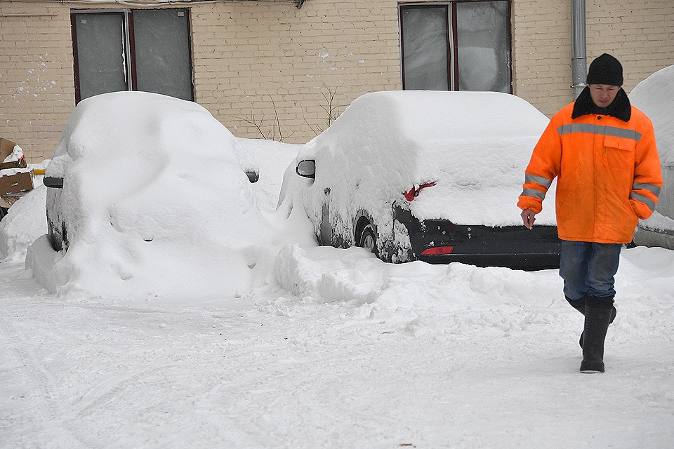 Наиболее "предприимчивым" москвичам удалось заработать на снегопаде.