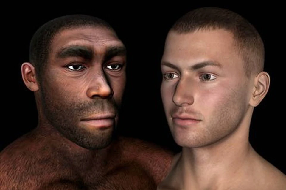 Костный рельеф нашего лица стал активно выравниваться примерно 100 000 лет назад