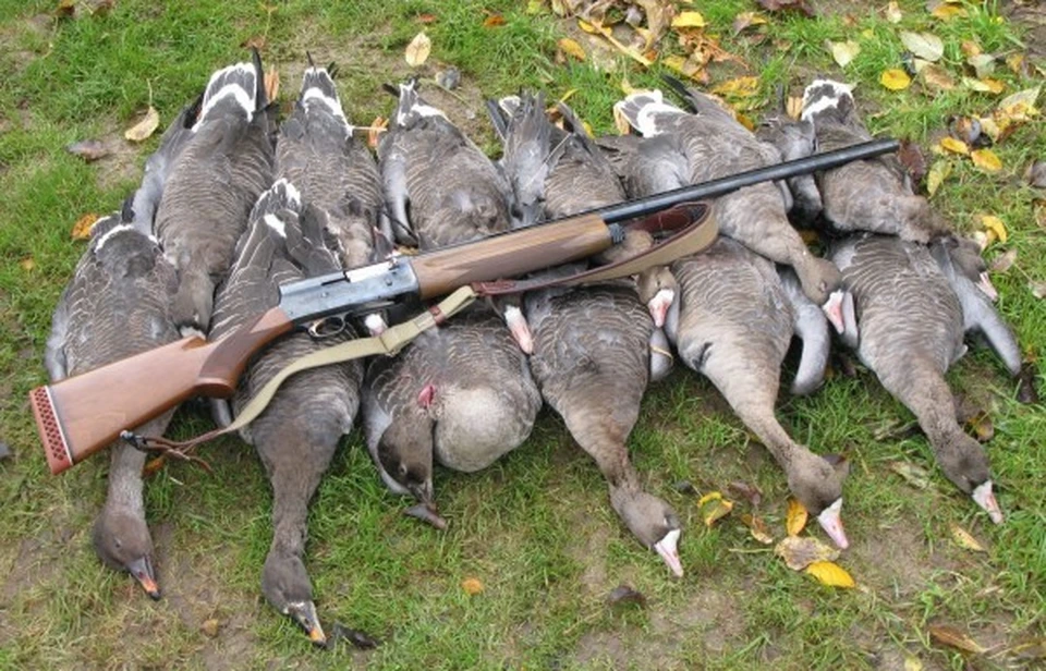 Раньше всего охотничий сезон откроется в Абыйском, Верхнеколымском, Оленекском, Эвено-Бытантайском улусах.