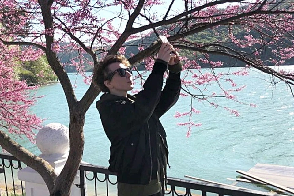 Яна сфотографировала в Новороссийске розовое дерево и спросила у пользователей, как оно называется
