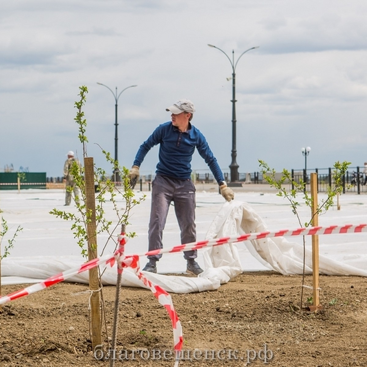 Реально ли в Приамурье заработать летом - KP.RU