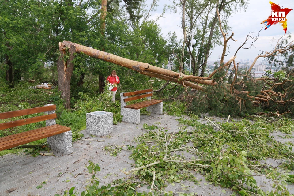 В городе до сих пор убирают обрушенные ураганом деревья и восстанавливают оборванные электросети