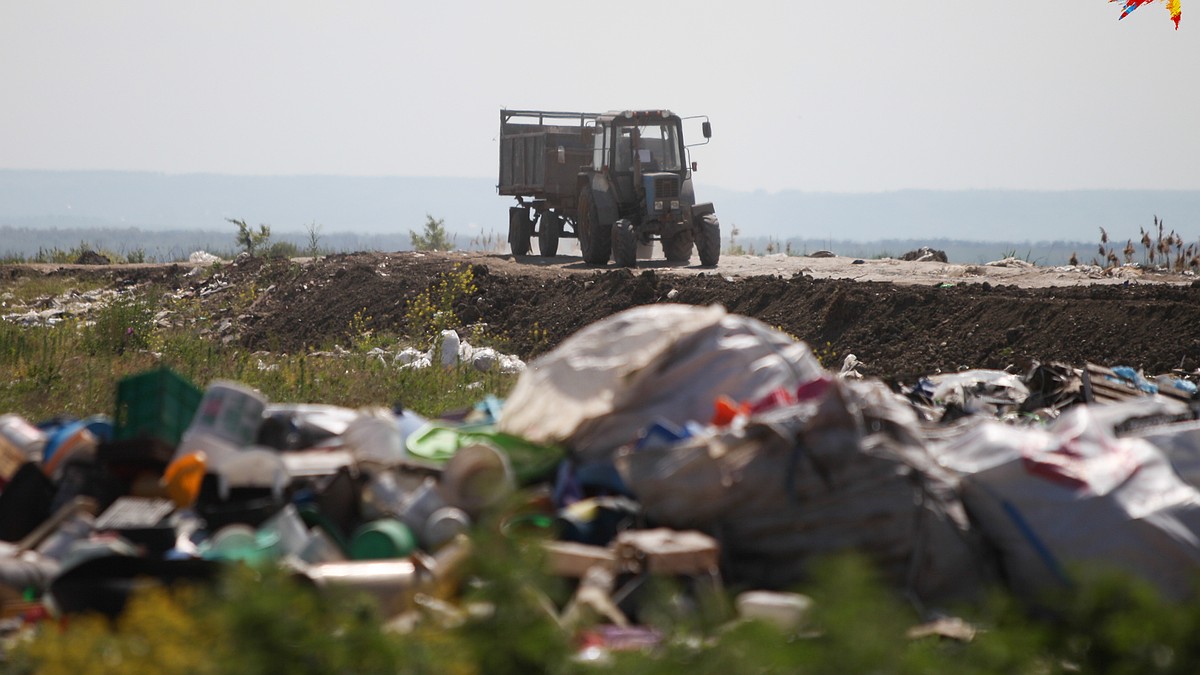 Экология в Брянской области одна из худших в стране - KP.RU