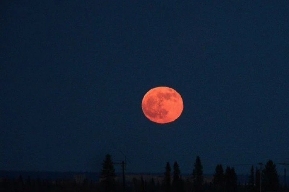 Почти 4 часа на небе будет висеть "кровавая" Луна.