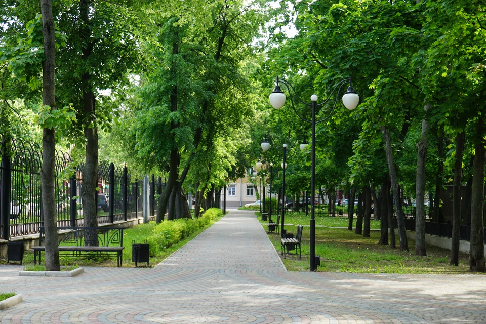 Фото парка орленок воронеж