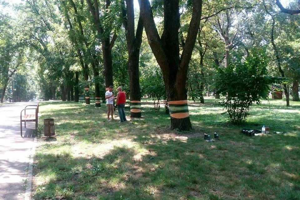 Парящие деревья испортили в Краснодаре
