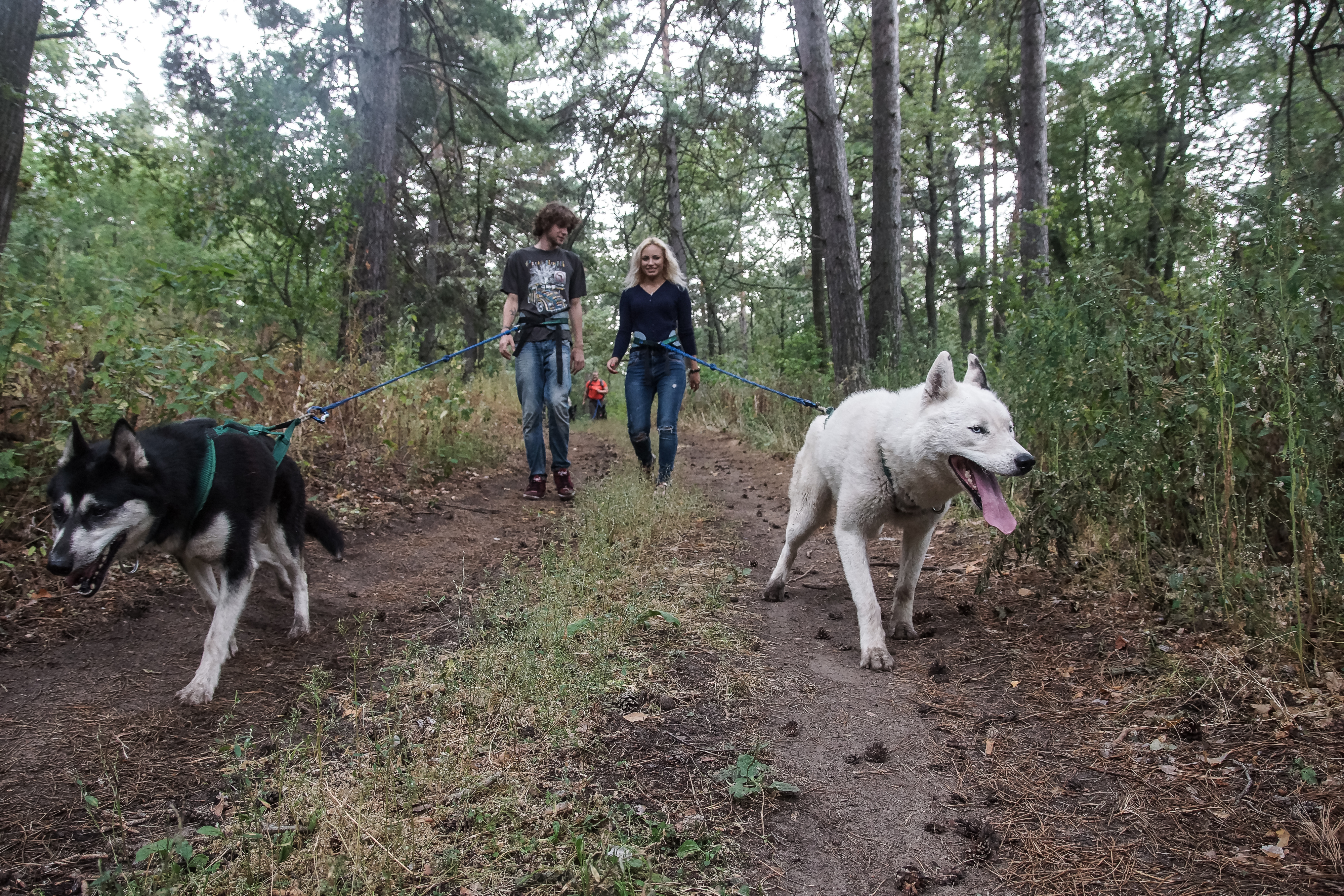 Обустроенных площадок в столице Башкирии практически нет