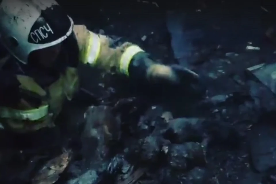 Нижегородские пожарные спасли из горящего дома слепых щенков. Фото: скрин с видео