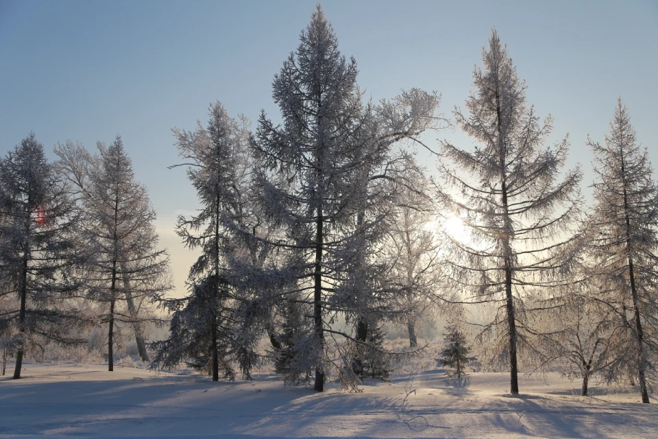 Повышение низкой температуры воздуха в зимнее время на каждые 3°С снижает риск развития инфаркта миокарда почти на 10%. Фото Ананова Мария