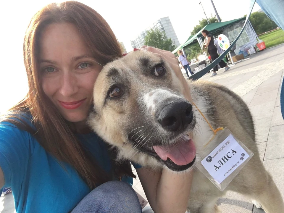 Юлия Лындина с собакой Алисой, которая ищет своего хозяина Фото предоставил благотворительный фонд "Собаки, которые любят".