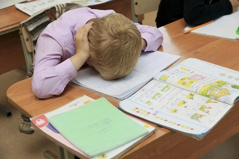 По мнению чиновников из Министерства образования Ростовской области «конфликт признан исчерпанным».