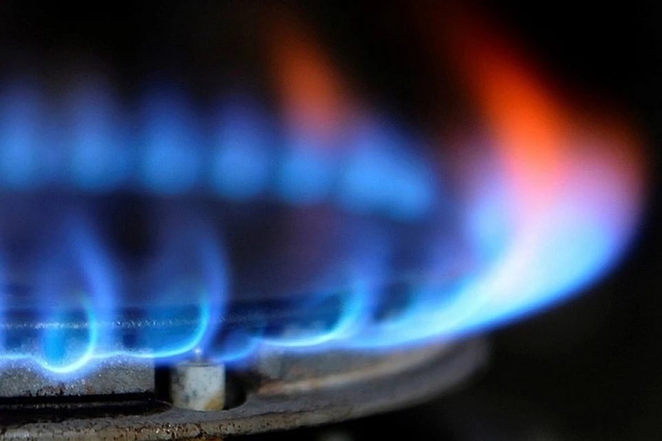 В Приморье газ придет уже в 2019 году. Первым газифицируют Спасск-Дальний и Уссурийск.