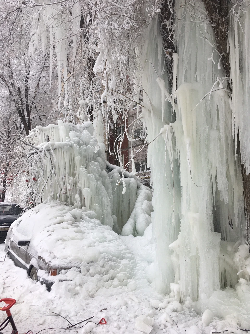 Фото Самых Гигантских