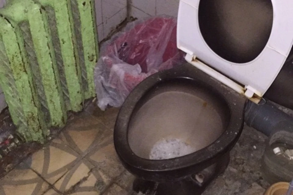 Посещение туалета в Шу превратилось для путешественника в реалити-шоу