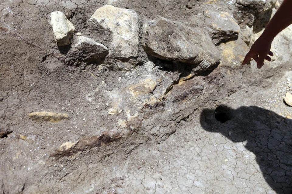 Там же обнаружили много ям со скелетами людей и животных