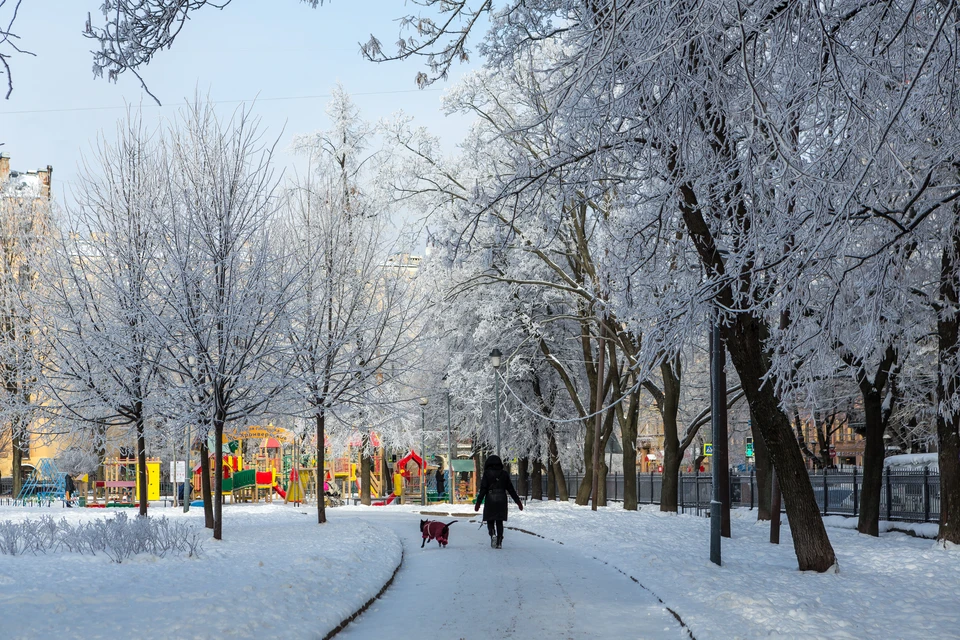 Мороз в Петербурге продержится всю неделю
