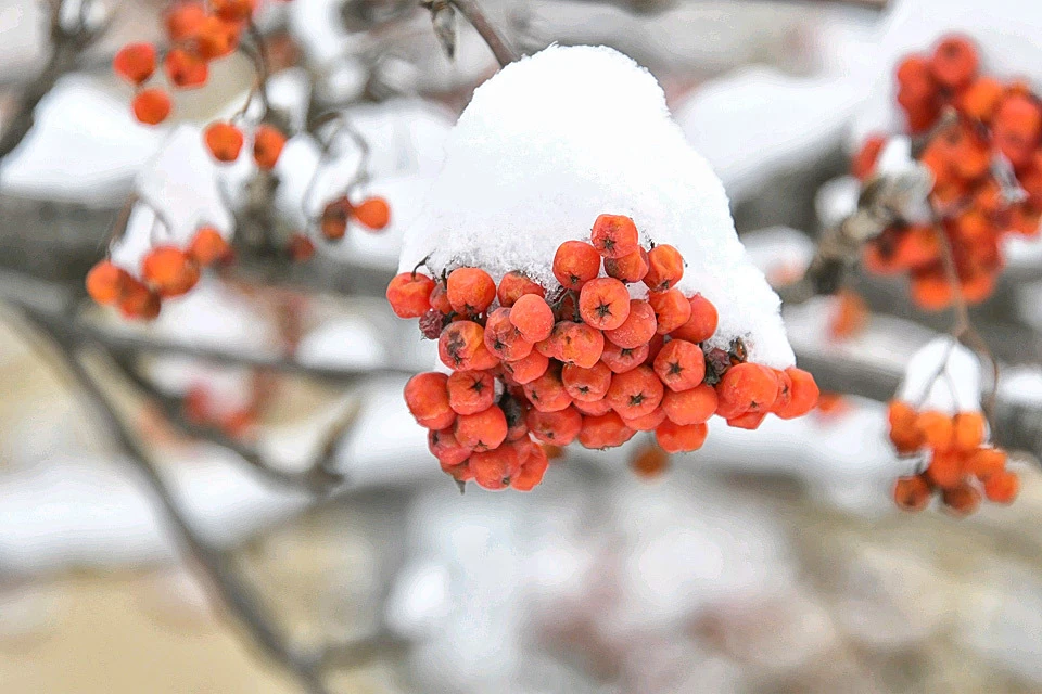 Февраль - последний месяц зимы, значит тепло уже не за горами.