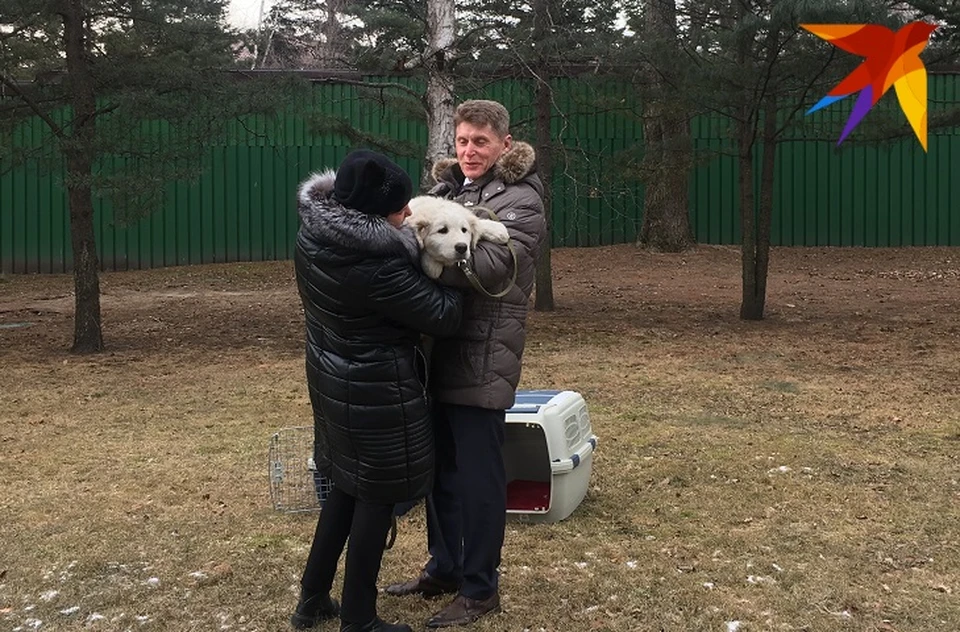 Олег Кожемяко в течение месяца выбирал надёжных хозяев для своих любимцев.