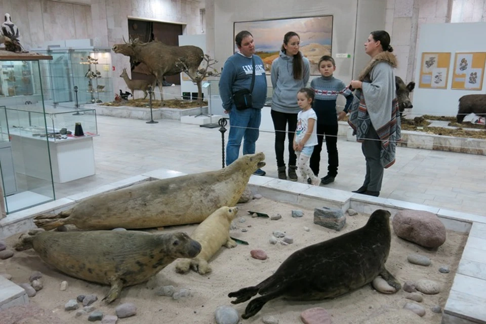 Морские животные в историко-художественном музее. Это вам не Куинджи!