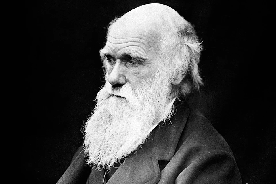 Чарльз Дарвин: Рассказать обществу о моей теории все равно, что признаться  в убийстве - KP.RU
