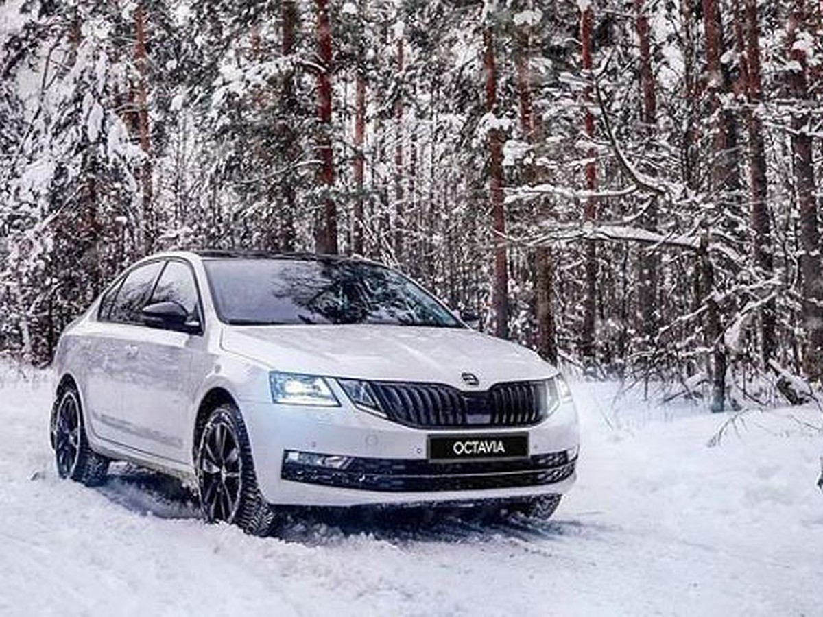 SKODA OCTAVIA: портрет на фоне зимы - KP.RU