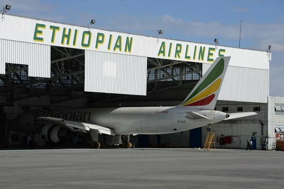 Ранее в воскресенье стало известно о том, что лайнер Ethiopian Airlines рухнул в районе вулкана Бишофту