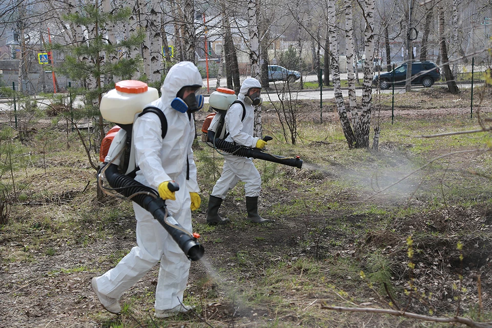 Опасные районы города будут обработаны