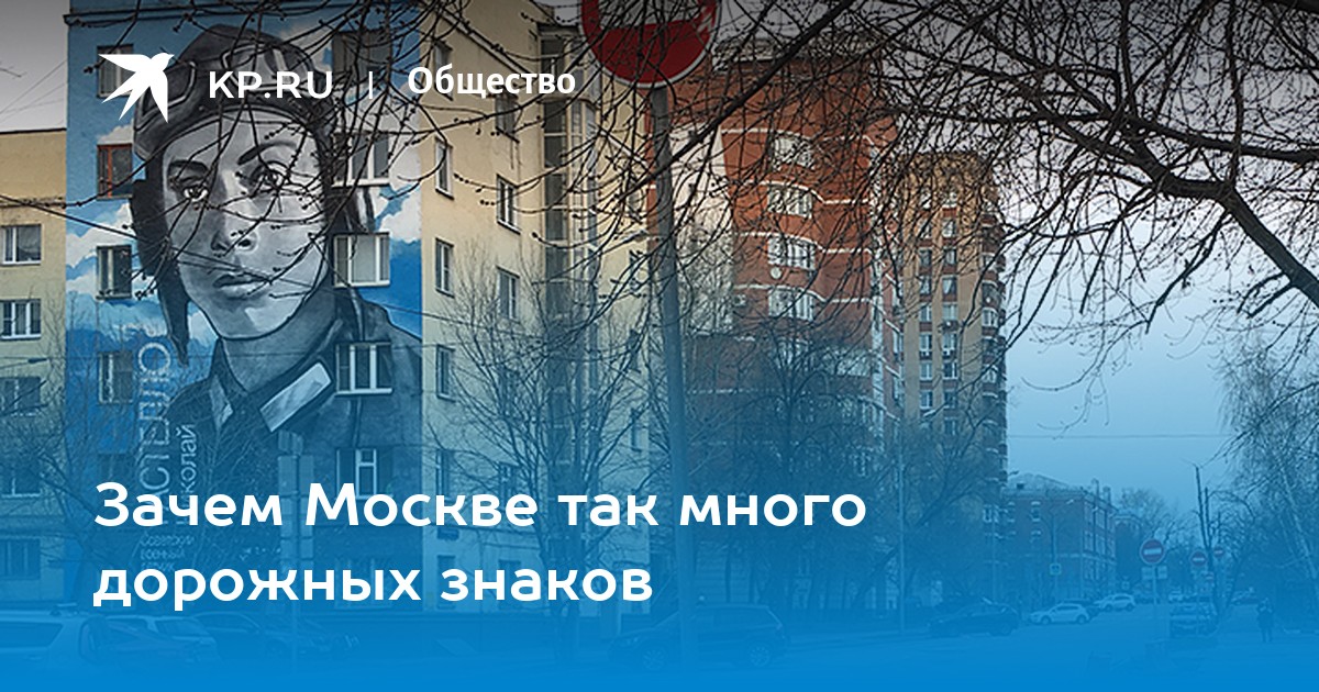 Зачем москва. Зачем в Москве так много дорожных знаков.